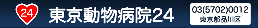 東京動物病院24は東京都品川区の動物病院です